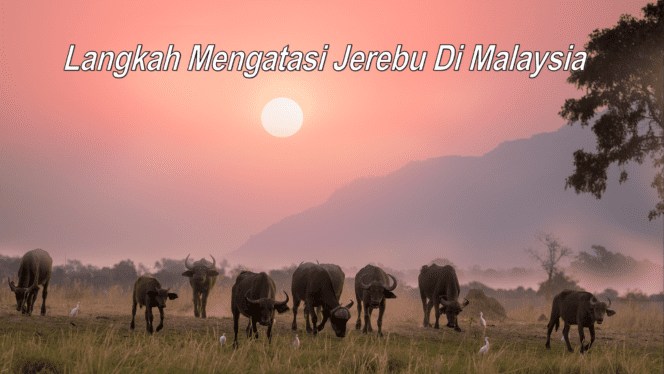contoh karangan langkah mengatasi masalah jerebu di Malaysia
